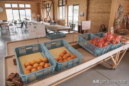 日本自驾游需要注意什么,日本自驾最新