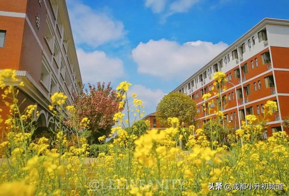 温江嘉祥招生小学升初中,2021年郫都区嘉祥小升初入学条件