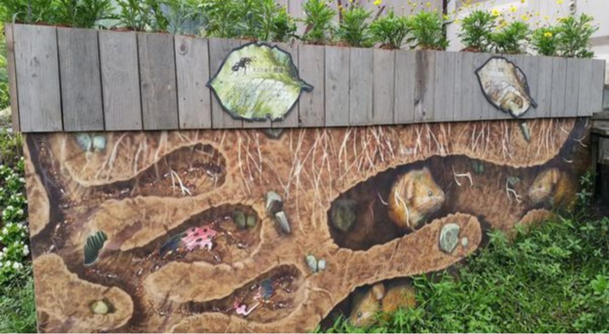 鐢荤敾鍎跨鍒涙剰鐢诲皬鍔ㄧ墿鍏斿瓙,鐢荤敾鏁欑▼7-12宀佸皬鍔ㄧ墿