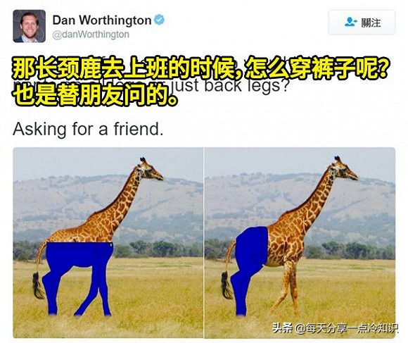 长颈鹿动物冷知识,长颈鹿有趣冷知识