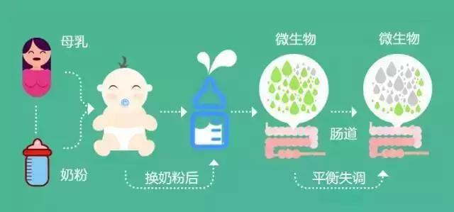 怎么分辨宝宝的粪便才是正常的,新生宝宝粪便辨别