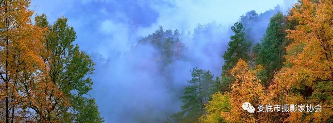 最新风景摄影小品欣赏,娄底景观小品
