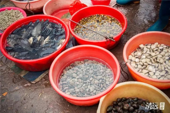 广东最没存在感城市,广东最具有粤味的城市