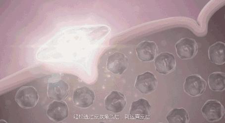 护肤原液有哪些,护肤原液怎么用好