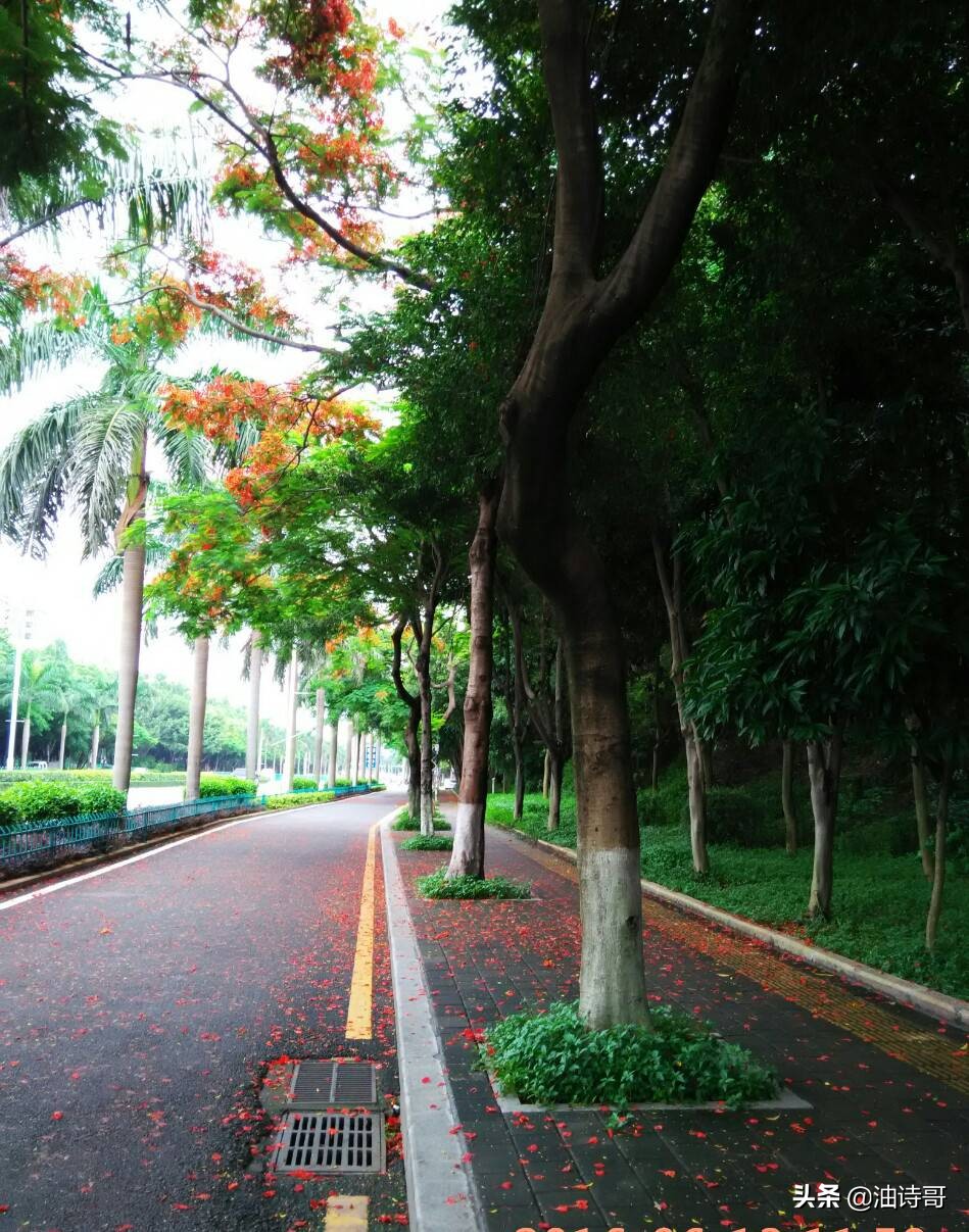 缘起五缘湾，那个爱钓鱼的懵懂少年