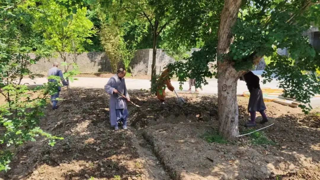 抢抓农时开展农业生产,农民纷纷抢抓春耕生产有利时机