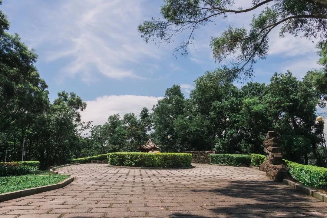 深圳周末带孩子免费游玩好去处,2021深圳免费适合遛娃玩地方排名