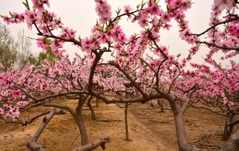 心理测试测你哪方面最出众神准,每日一测此刻时间超准心理测试