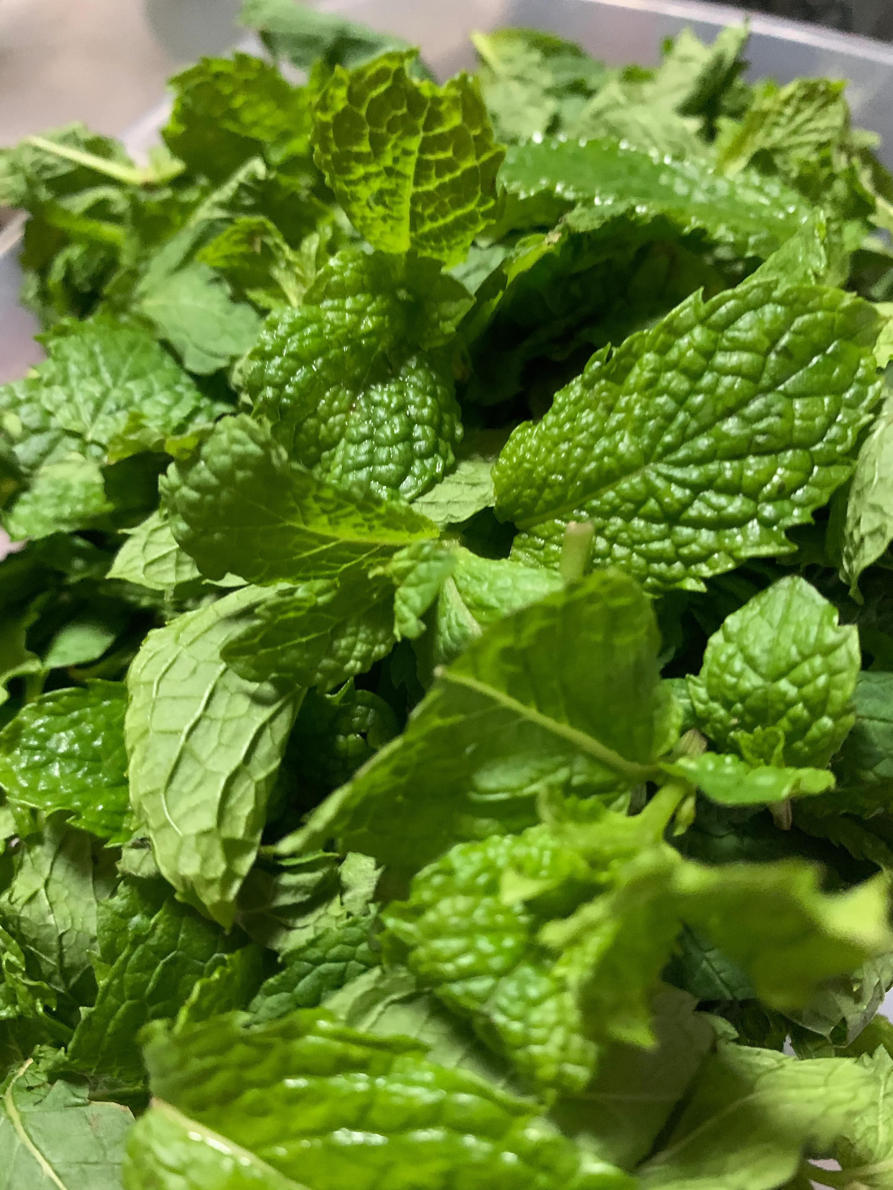 艾草薄荷膏的制作方法,幼儿园自制艾草薄荷膏的简单方法