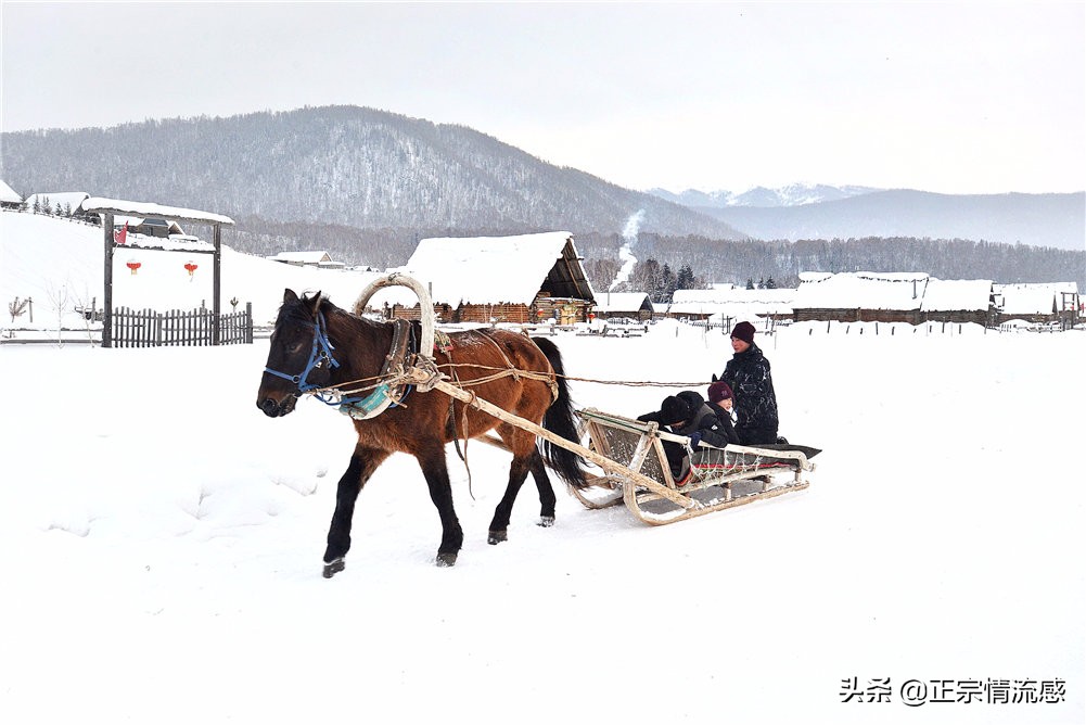 诗与远方：冬游喀纳斯