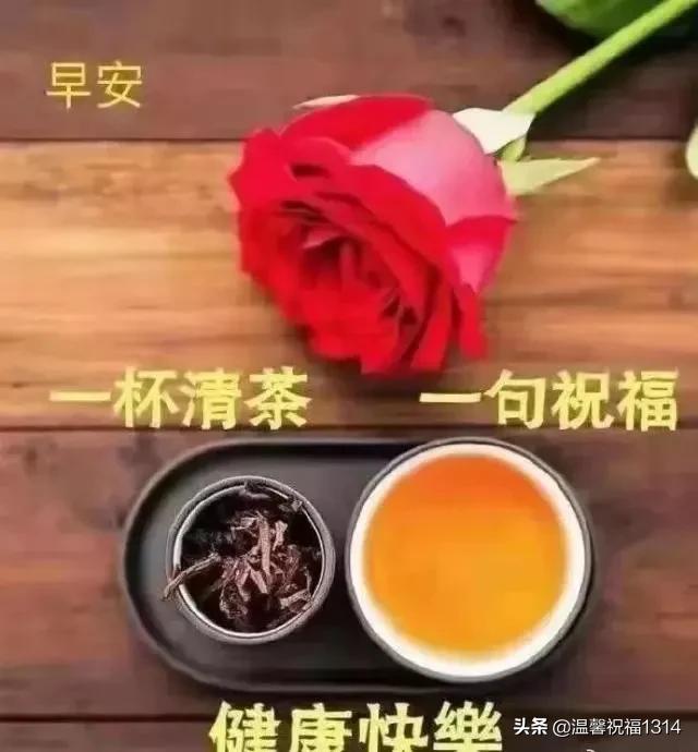 星期一早晨祝福问候语,星期天早上问候语温馨正能量