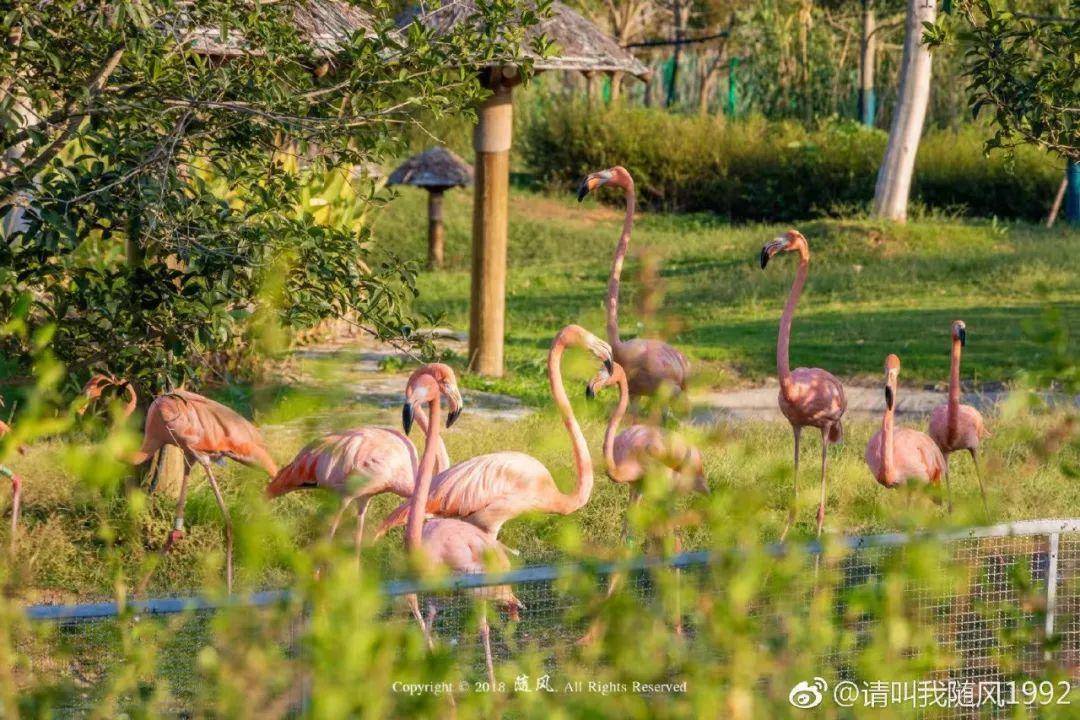 初春南京一日游攻略导图,南京秋景一日游的攻略