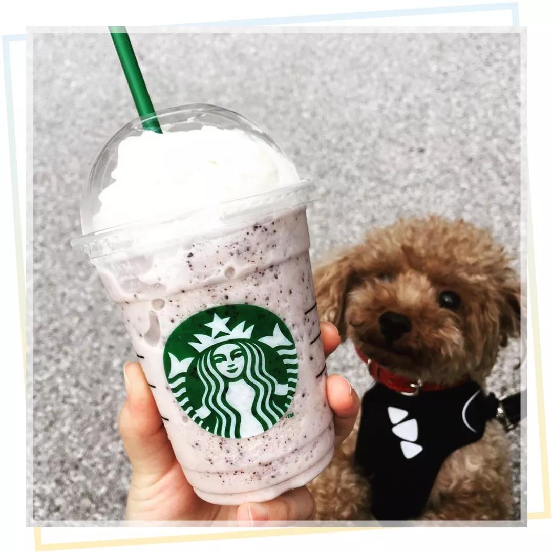 网红奶茶大盘点，高颜值又好喝赶紧做功课