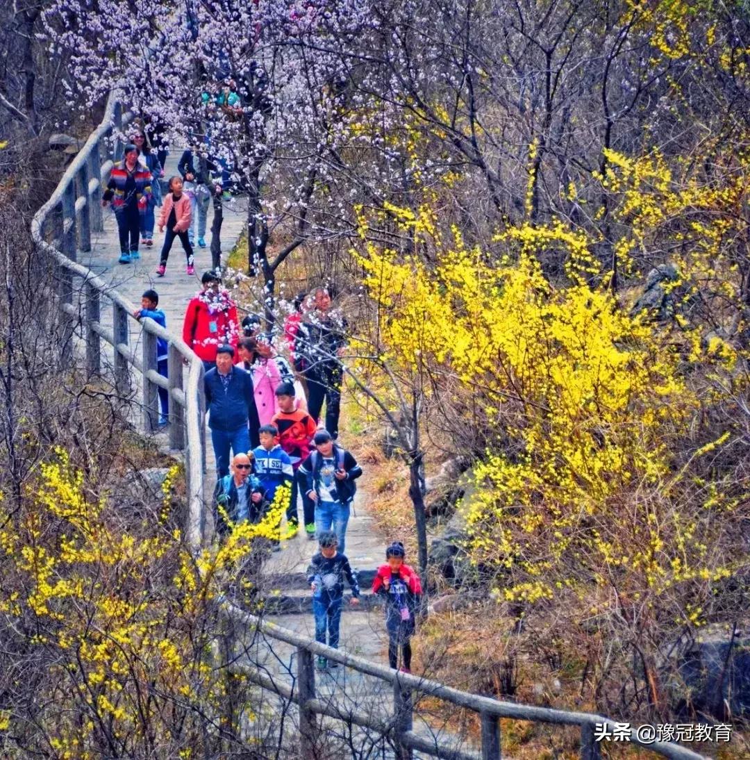 郑新黄河大桥2021年收费政策 (郑新黄河大桥2020年收费政策)