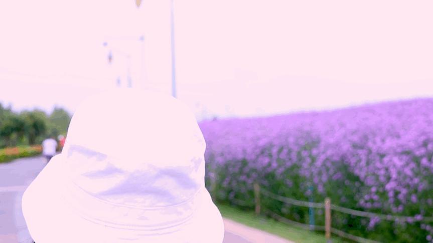 绱壊姊﹀够鑺辨捣鍏洯,娣卞湷鏅綏鏃烘柉2024绱壊鑺辨捣