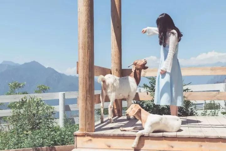 慢综艺之光拒绝剧本测评数十家“顶级”民宿，第一期就是浮云牧场