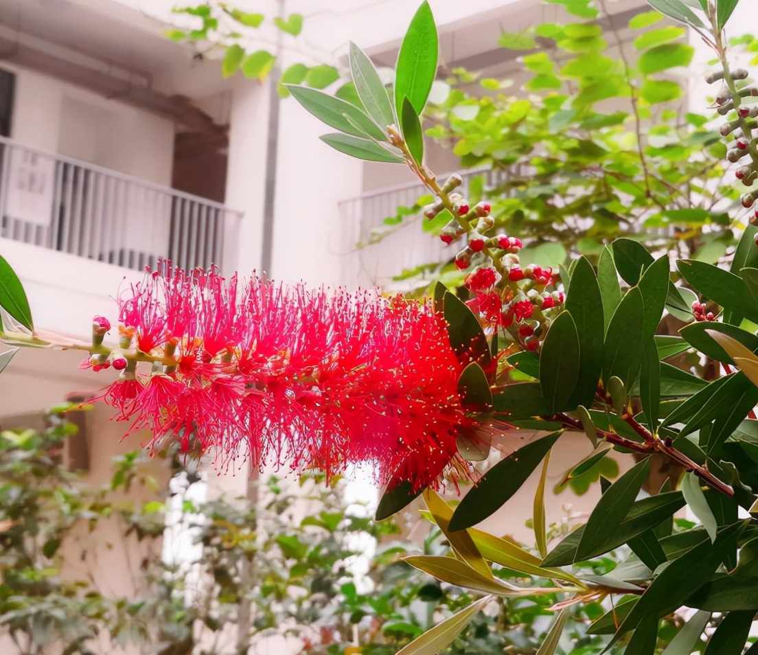 家长对双减政策和课后服务的建议,双减工作与课后延时服务政策解读