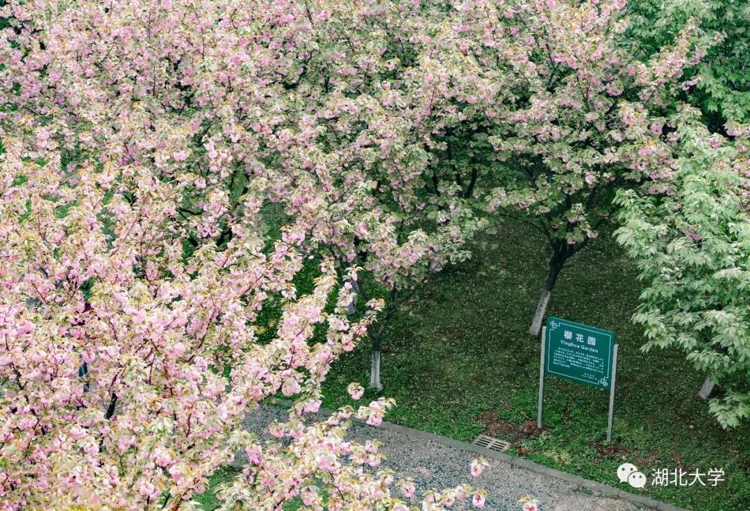 来,让我告诉你:为什么要上湖北大学?