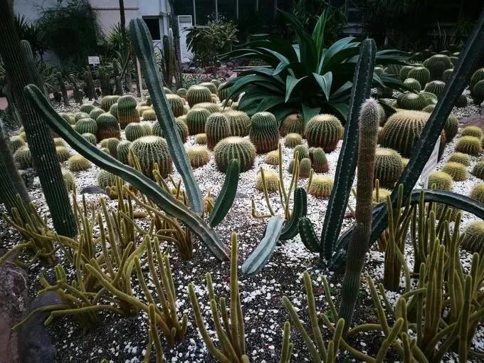 金牛打卡地,金牛区有什么轻松好玩的打卡地