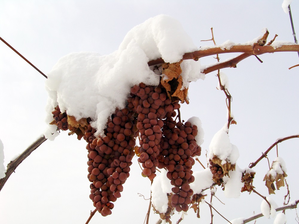 一张图卖出天价,一张图片卖出天价