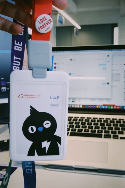 阿里动物园物种,阿里动物园再添新动物