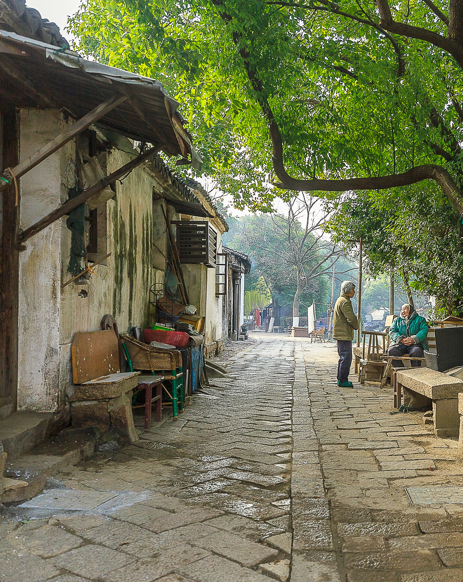 愿为人间客，世世在江南，不如来同里