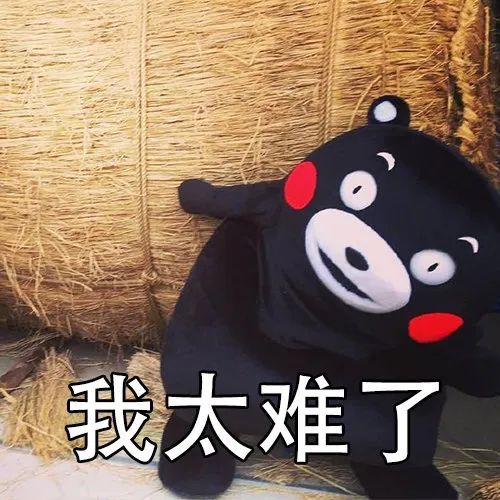 北大直击|线上答辩，做秘书究竟有多难？