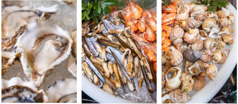 注意：此篇内容可能会引起肉食患者无法自持的症状