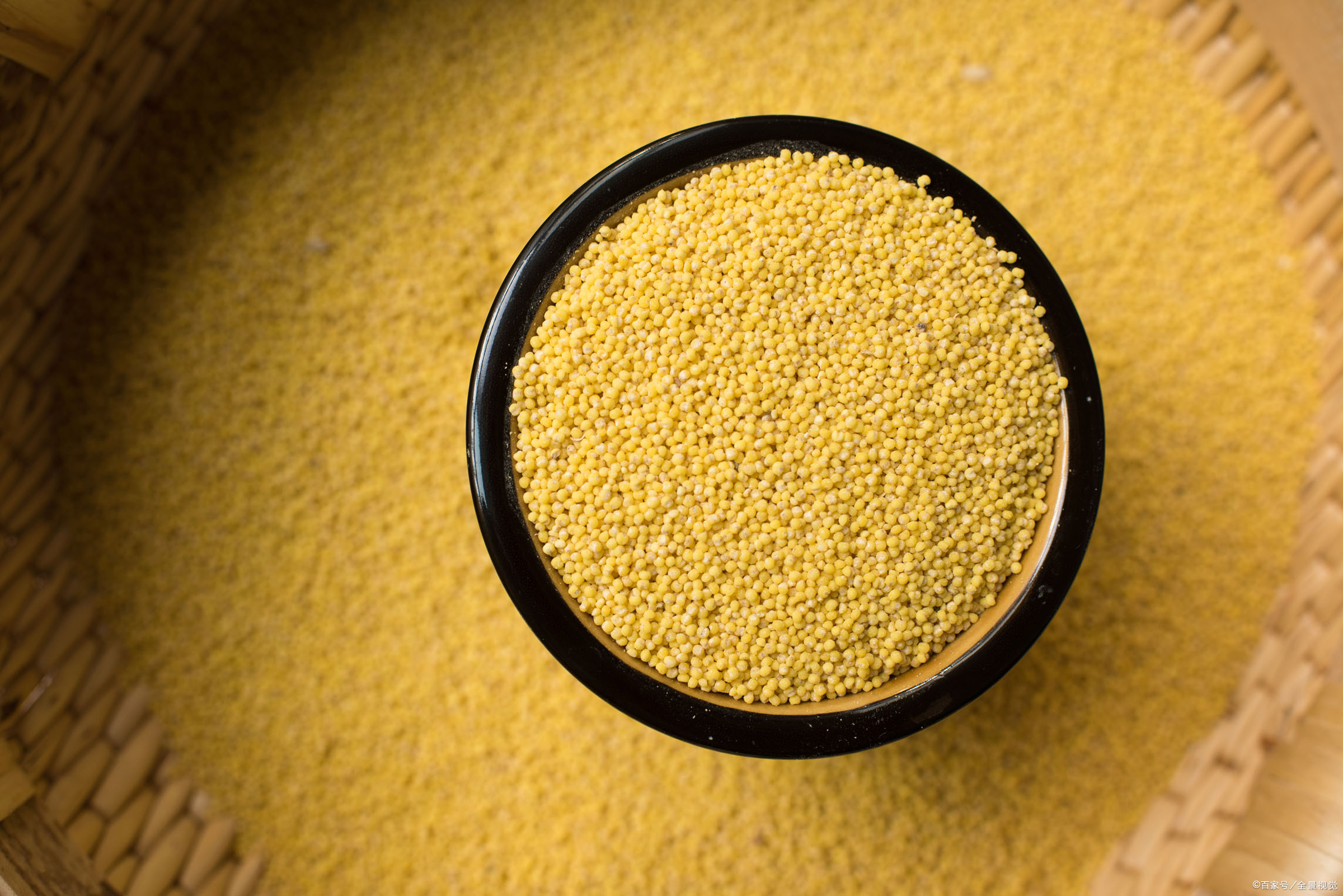 敖汉谷子今天价格最新行情,2023年谷子价格最新行情