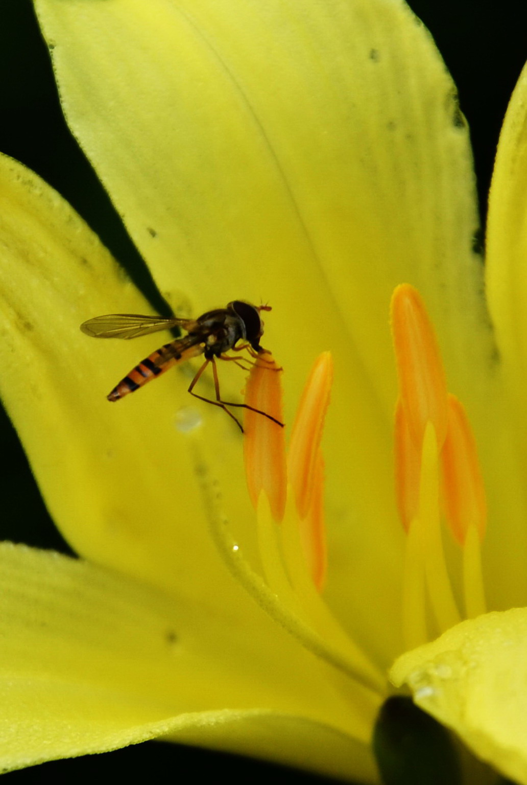一个摄影爱好者的所有器材,摄影器材的终极之路
