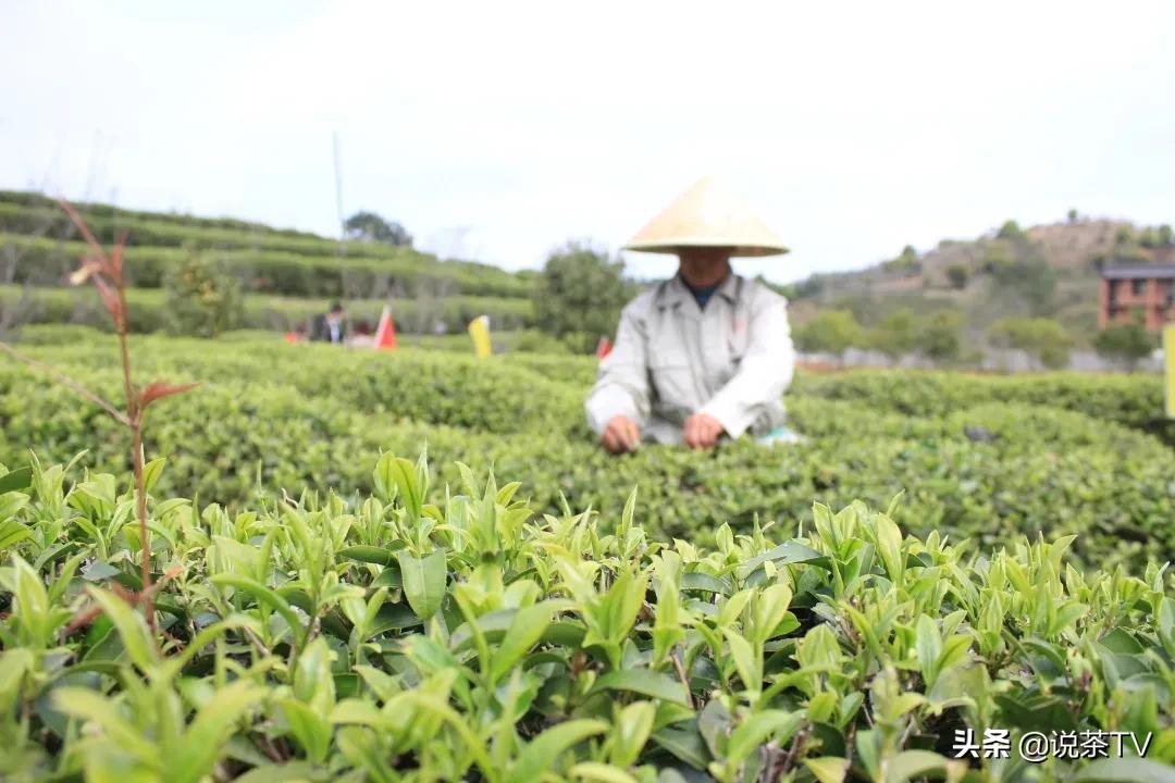 苏宁京东电商大战,苏宁京东电商联动