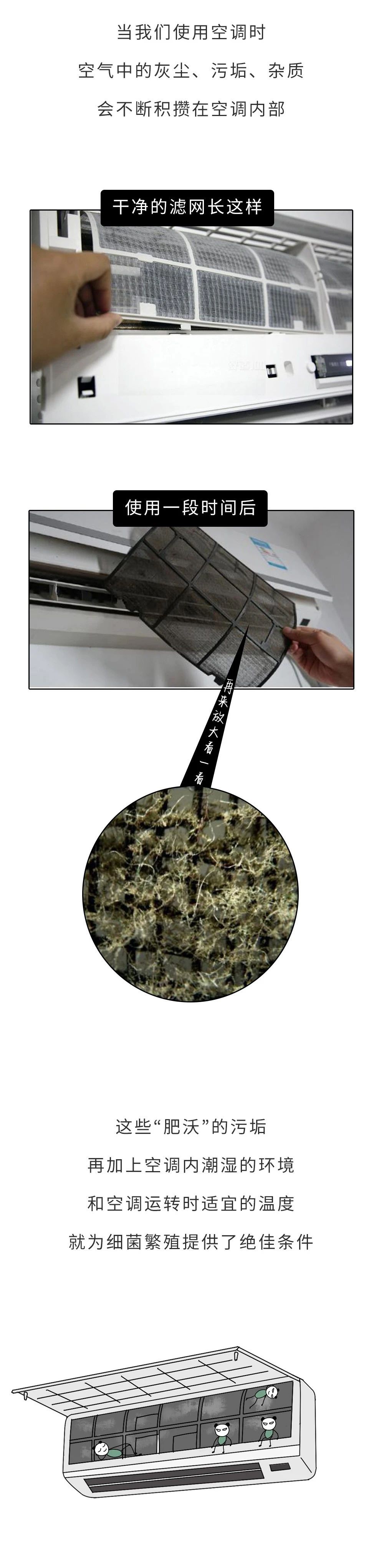 热水器水流出有虫子怎么办,饮水机水管里有小白虫