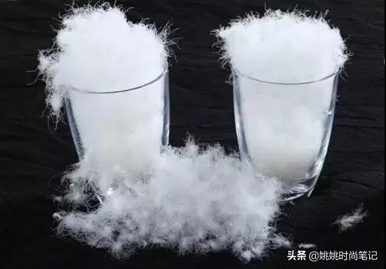 鹅绒的专业知识,羽绒知识的专业讲解