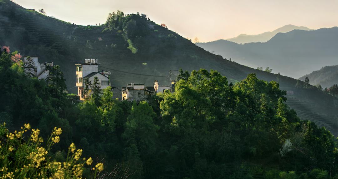 我用10年时间把重庆避暑地和避暑方式体验了个遍，优缺点全在这