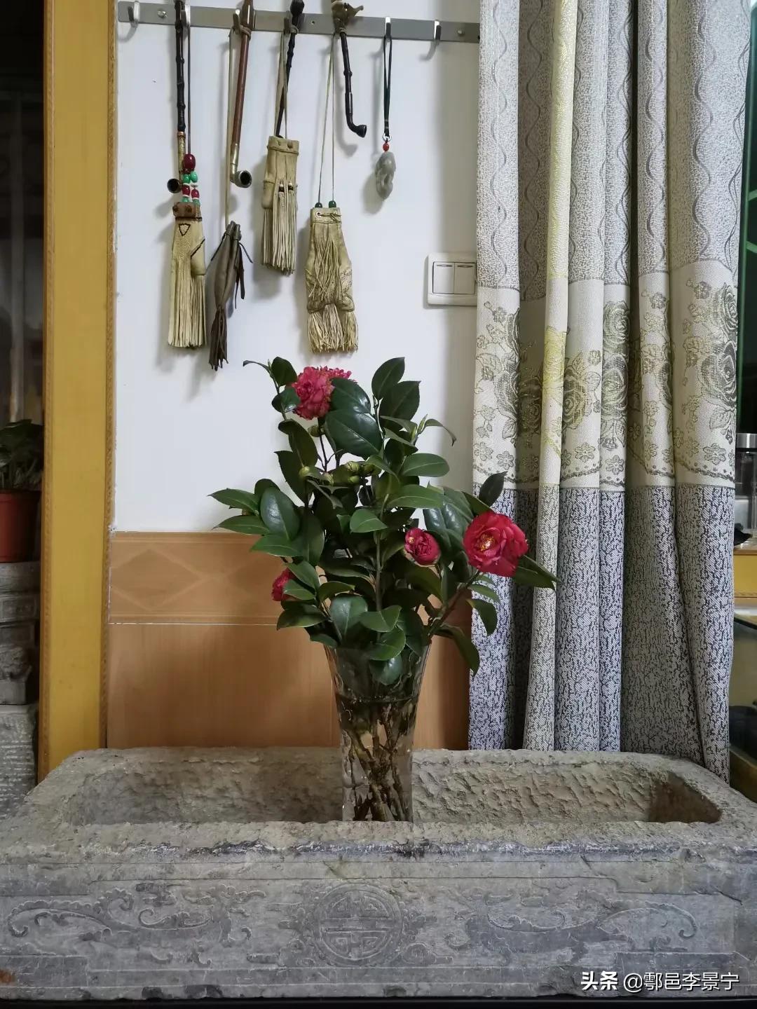 题秦岭诗句,题秦岭