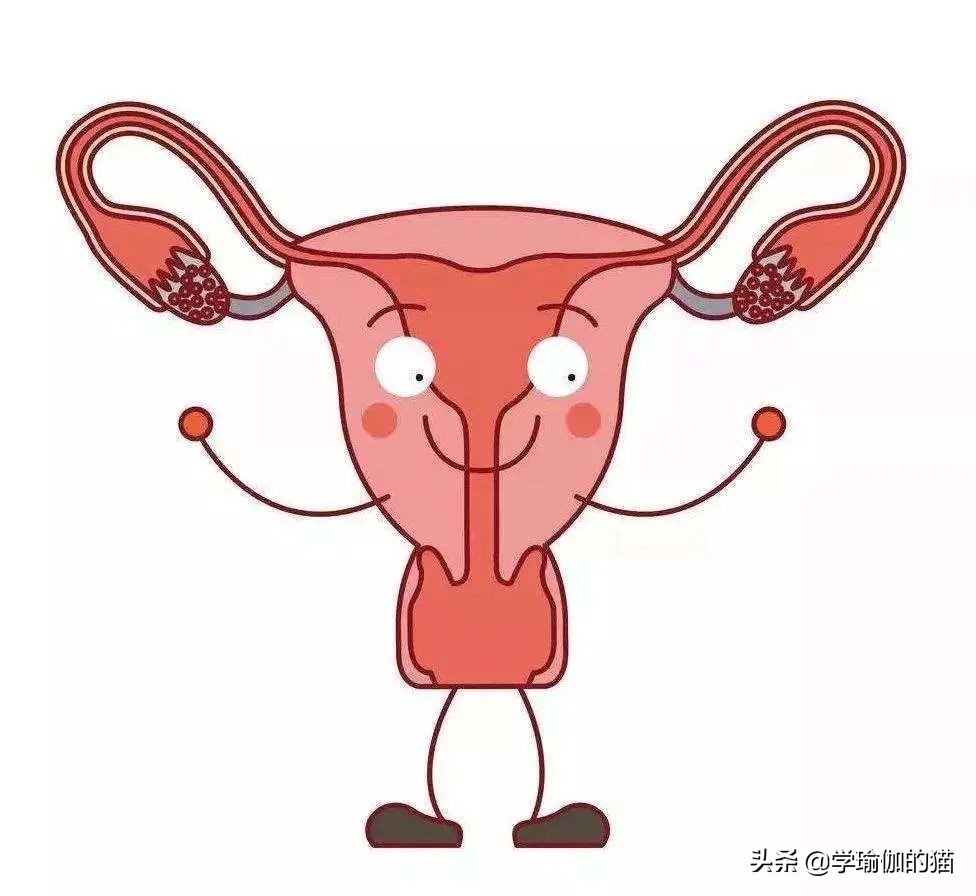 月经期可以练习盆底肌吗,女性月经期可以训练吗