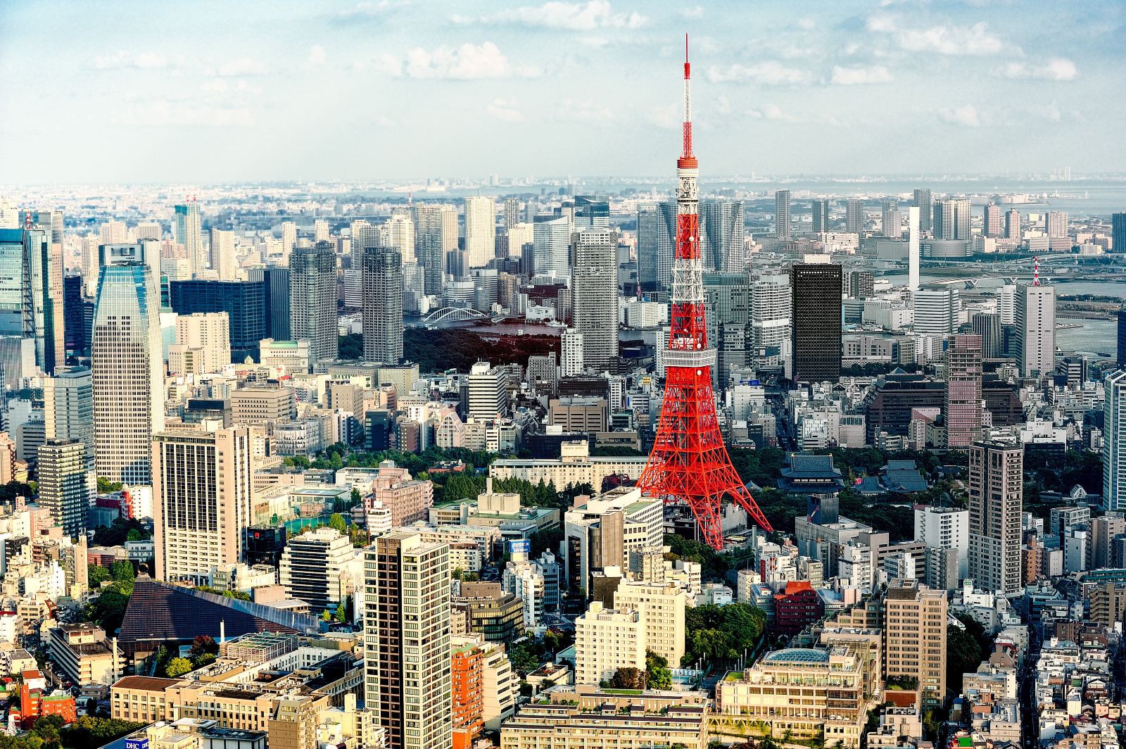 日本最受欢迎的大学排行榜,中国留学最认可50所日本大学名单