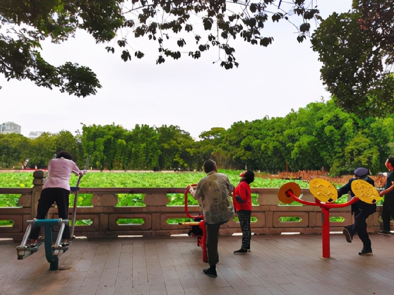 公益体彩推荐,体彩公益活动有哪些