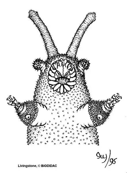 502生产厂家,502源头生产批发厂家