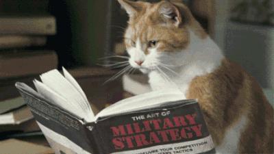 怎么经营自己的小红书店铺赚钱,小红书店铺运营模式和思路设计