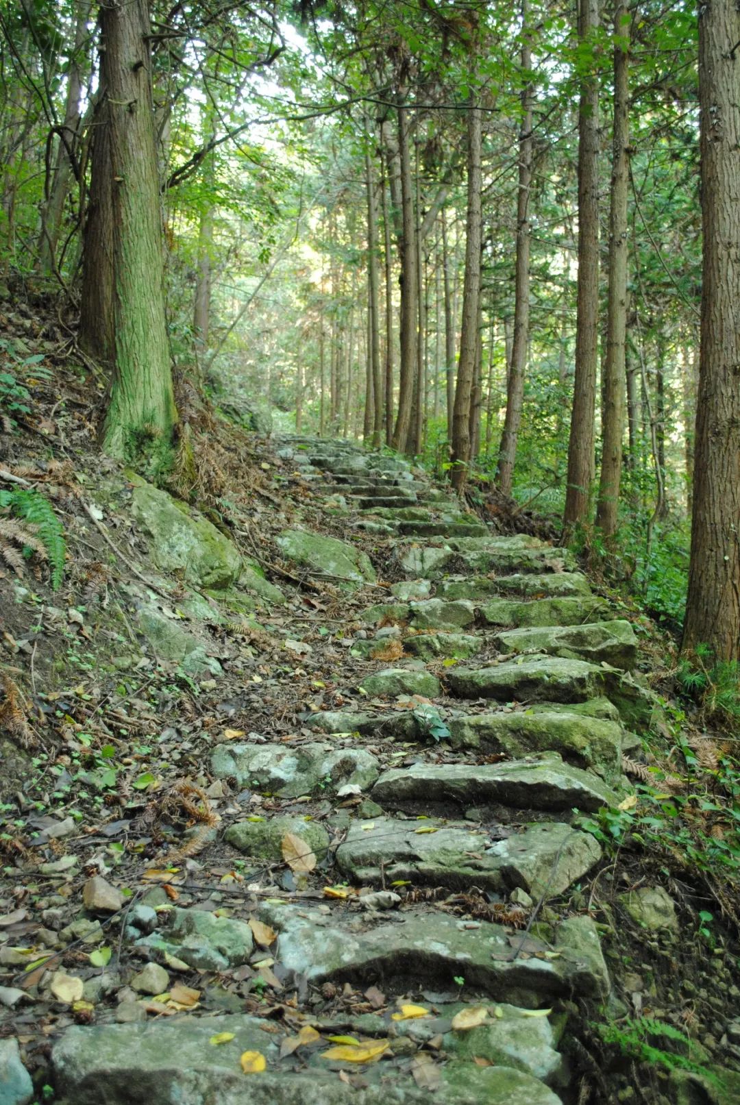 宁波踏青必去十大景点,宁波踏青景点介绍视频
