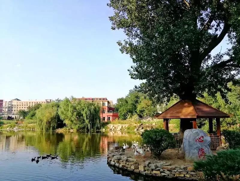 大连海事大学辽宁省大学排名,孔峰辽宁省教育厅大连海事大学