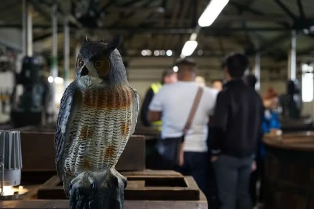 关于威士忌里的“中年油腻男”乐加维林，你还不知道的13件事