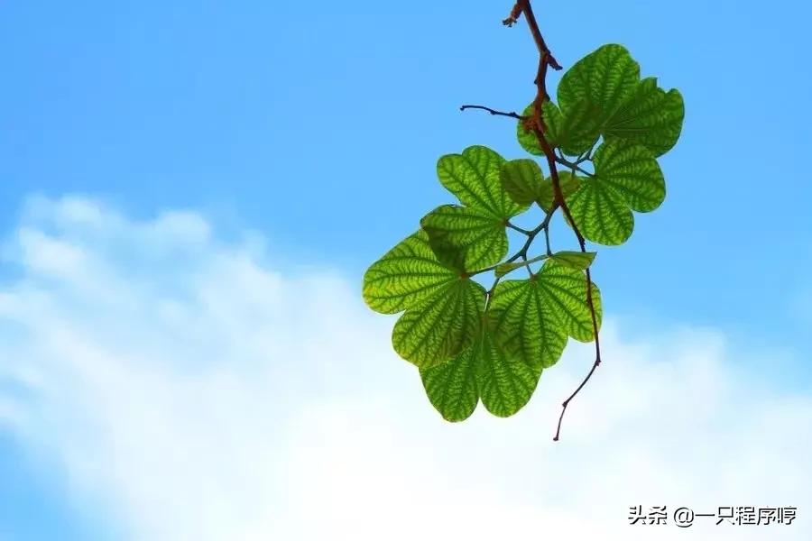 手机传奇游戏辅助器,和平精英游戏辅助器软件苹果