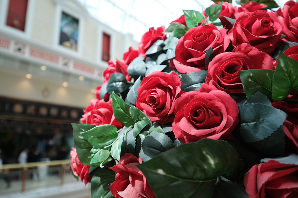 富士xpro2和xt30对比测评,富士xt3s测评