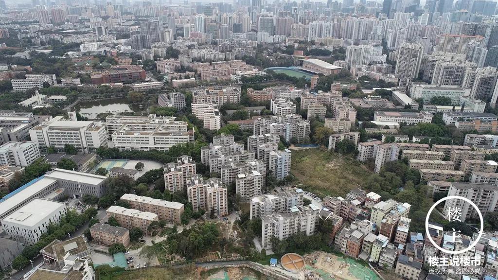 五山：书香之地一片乐土