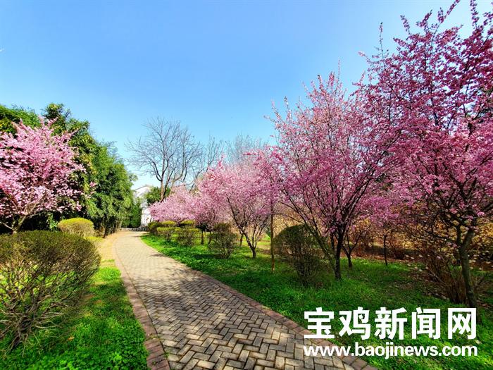 宝鸡是座有温度的城市,宝鸡是个什么城