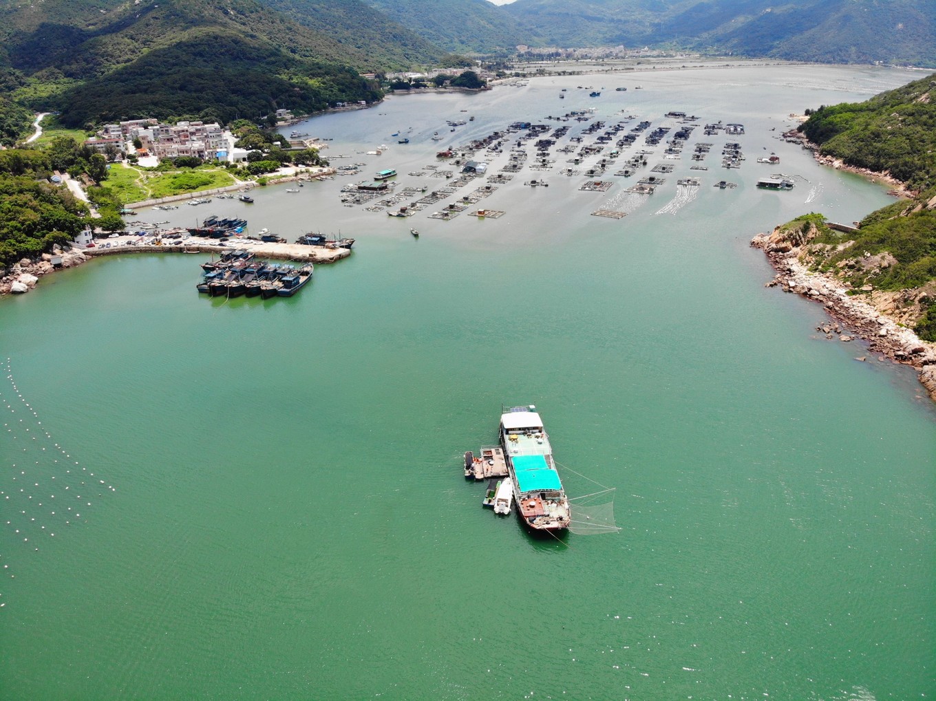 南澳岛看海完整版,南澳岛看海解读