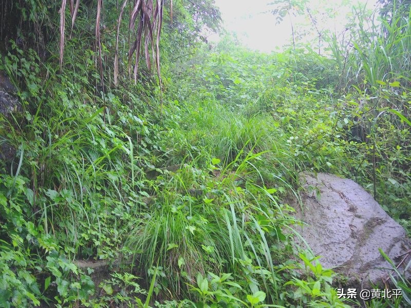 正安县何家山古道,贵州遵义安场古道