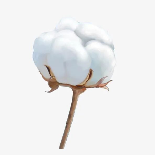 冬天可以裸睡的四件套,四件套冬季裸睡推荐